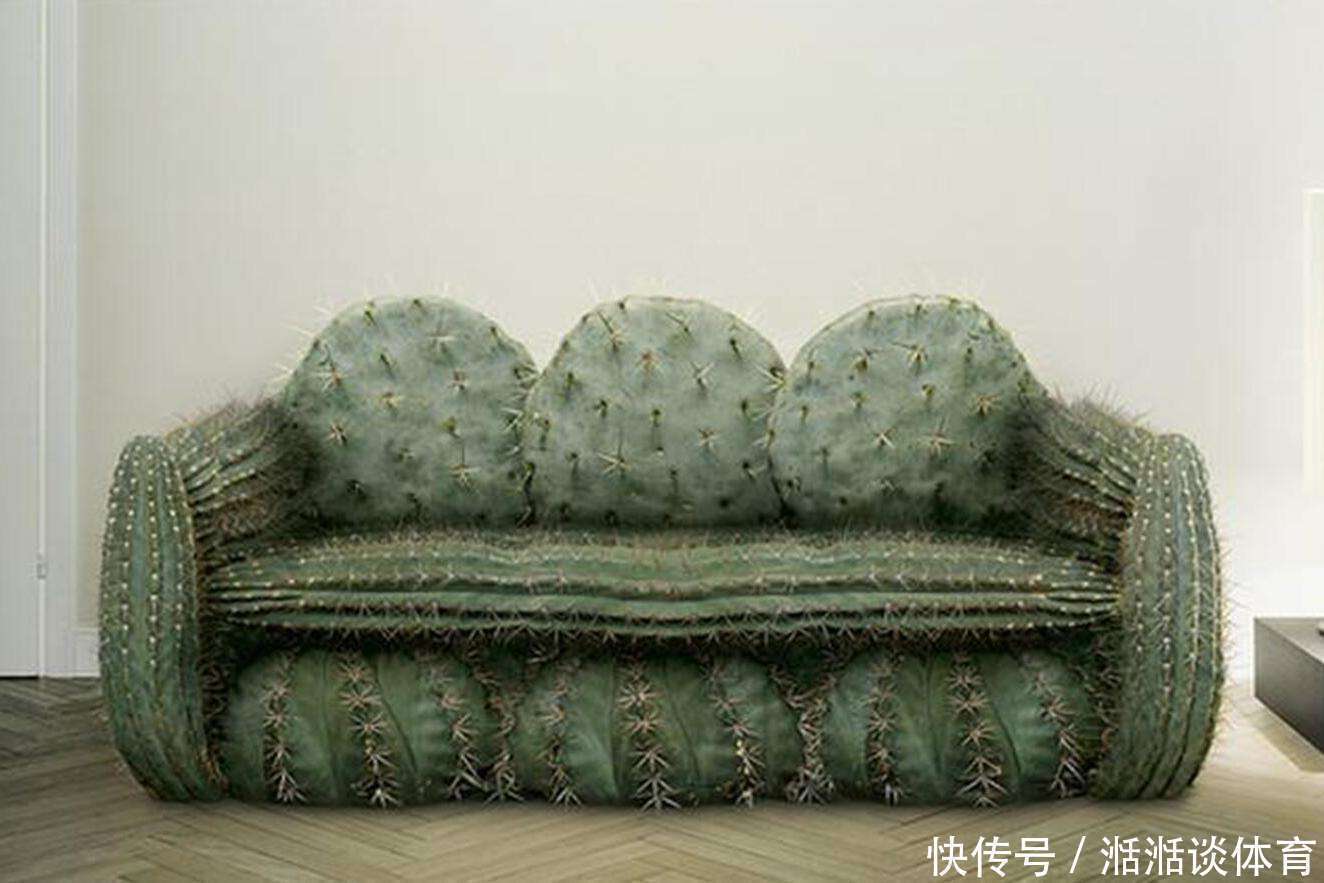 芝麻开门|20个令人“匪夷所思”的奇葩设计,图19是为前任设计的仙人掌沙发