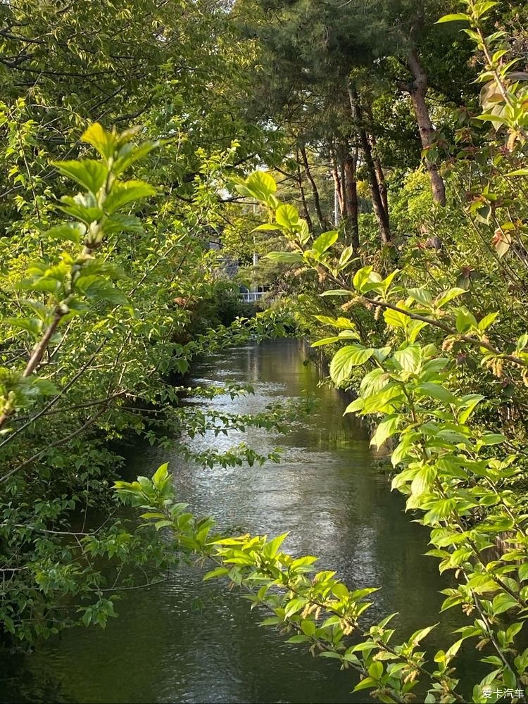 随处是风景