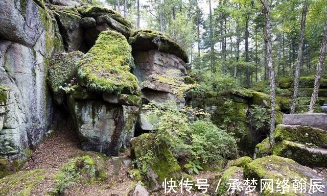 伊春市|亿万年的精雕细琢，造就了这处奇岩怪石，汤旺河林海奇石