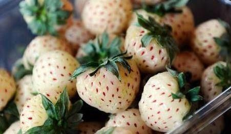 维生素c|聪明的女性要多吃3种食物,排毒养颜、延缓衰老,早吃早健康!