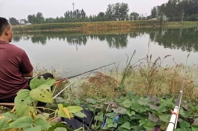 钓鱼影响鱼情的重要因素，哪个排第一位，水温、溶氧量谁更厉害