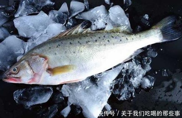 区别|都是鲈鱼,淡水鲈鱼和海鲈鱼有啥区别?口感营养都不同,别买错了