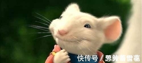 郑板桥&千古绝对, 上联“鼠无大小皆称老”, 此人对出来了, 却没有农民对的好。