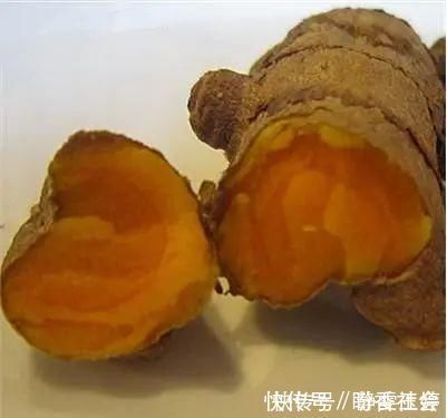 黄金|农村山上一种“黄金”农村人都不吃,城里人稀罕的很