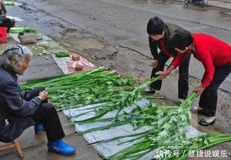 蚊子就怕“它”,洗凈曬干放臥室里,不用掛蚊帳,也能睡安穩覺