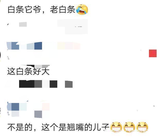 白条|白条精？在安徽老家钓获巨型白条鱼，朋友：能长这么大，真没见过