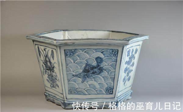 分享几个小窍门,让家里的绿植长得枝繁叶茂,净化空气效果更好