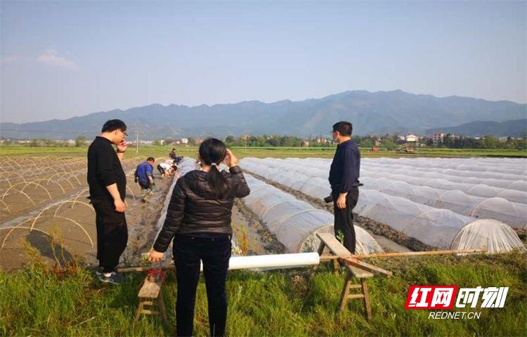  时代|武冈：农业技术推广成新时代文明实践志愿服务新引擎