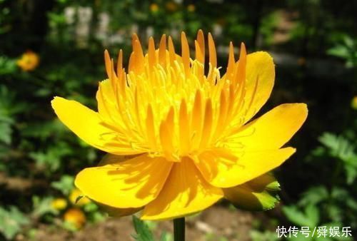 天生“老板命”!这4大生肖注定能够功成名就,想不发财都难