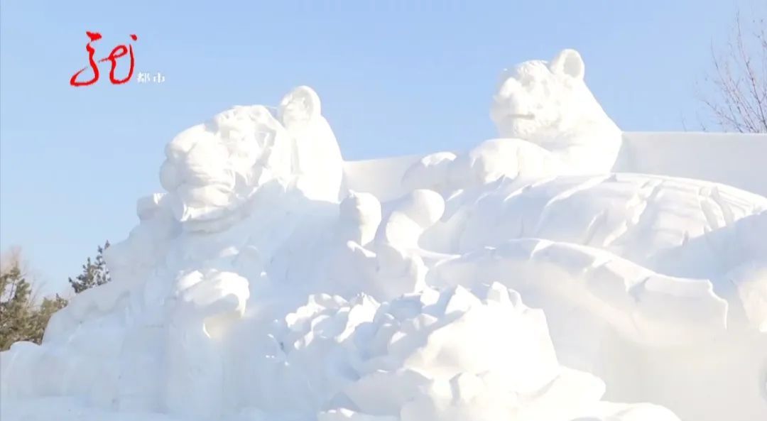 市场部|正式开园！哈尔滨第34届太阳岛雪博会如约而至