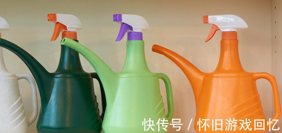 喷壶|多肉植物浇水方式,喷雾,喷水,尖嘴壶,浸盆,你用哪一种