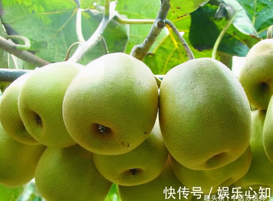 秋天|女性秋天养生,不妨常吃3种食物,滋补身体,排毒活血,越吃越好