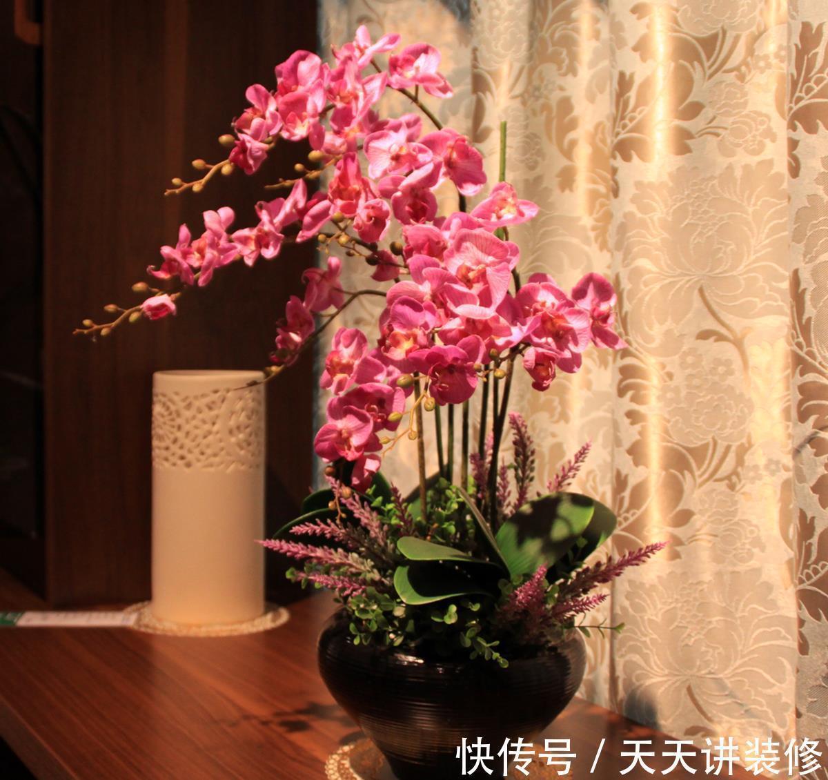 公认“不好养”的3种花，没有一定的养花经验，别贸然入手