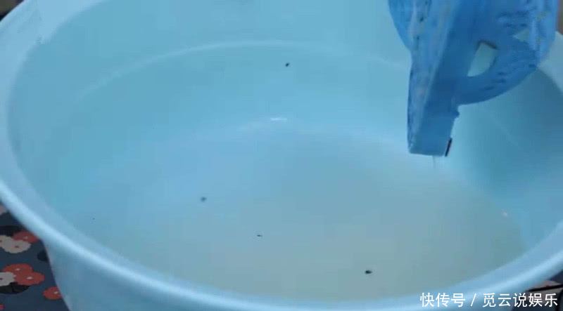 食用碱|不管多脏的拖鞋，只需水里撒上一把它，洗出的拖鞋像新的一样