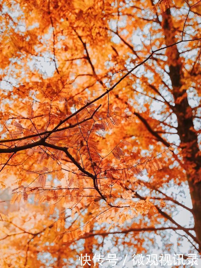 法则|不管秋天怎么穿,时髦是第一位,这份“叠穿法则”奉上,照学没错