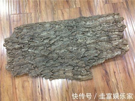 “生根剂”不用买,路边捡“1块它”,往花盆里放,30天冒白根