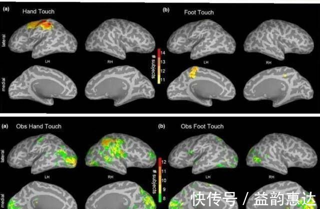 迈阿密大学|儿科医生4个部位多抚摸,娃聪明睡得好,但不少父母连碰都不碰