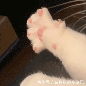 肌肉|炎炎夏日用跑步“冷知识”给自己降降温!