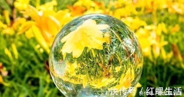 历史人物@达·芬奇是位大画家,他画了一幅油画,可是却出现了一个失误