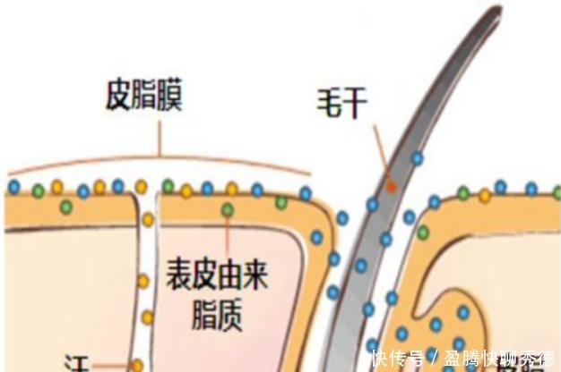 敷完面膜要洗脸吗？揭秘美容院面部清洁步骤！（实拍图）