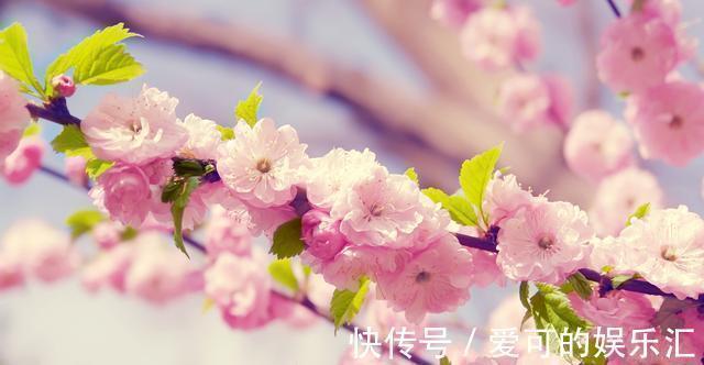 苏东坡$苏轼出上联“秃驴何在”,佛印巧对出的下联,不想却成了千古绝对