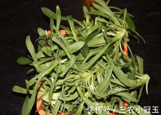 麦地|麦地里的”野菜“，城里人当杂草，殊不知功效丰富价值珍贵