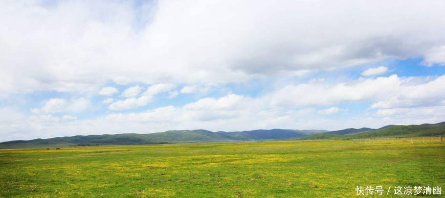 走过|当年红军长征走过的雪山草地,知道那片草地是什么样的吗