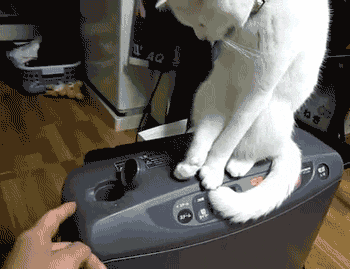 |搞笑gif-哥们,你是不是放错啊,怎么把炮拿走了?