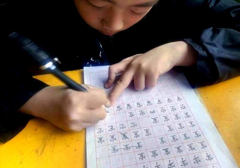 3年级男孩的作业本走红，字迹堪比“印刷体”，妈妈却开心不起来