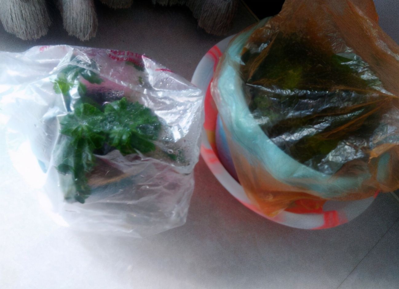 塑料袋|被当成垃圾的塑料袋,其实是个“宝”,用来养花效果好