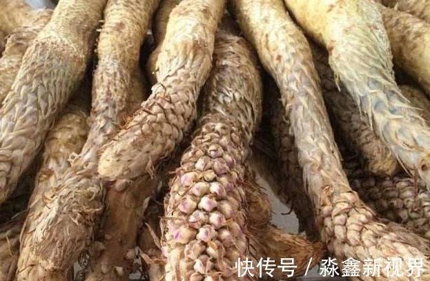 蜂蛹|5物是天然“雄性激素”,男性多吃,补肾益精,更有魅力