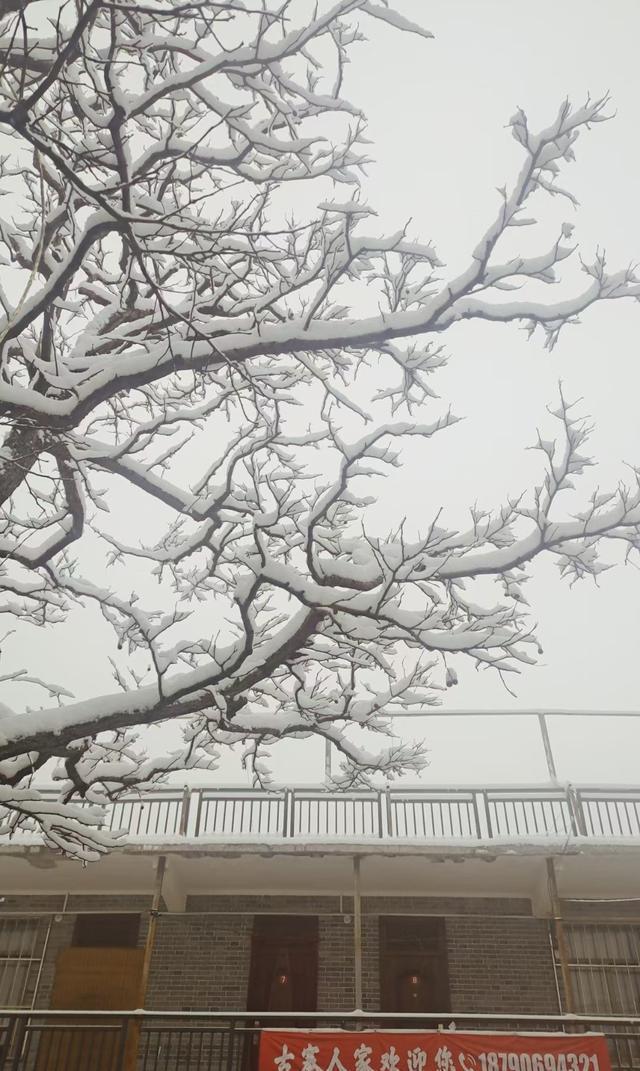 银装素裹|南太行今冬第一场雪来的是那么突然满山银装素裹