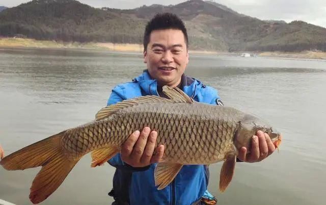 夏季垂钓如何聚鱼老钓友用这两款窝饵料,刚一下竿就有口