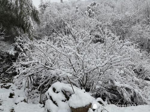 江浙沪的游客可以来大别山“赏雪、堆雪人”了，安徽大别山积雪了