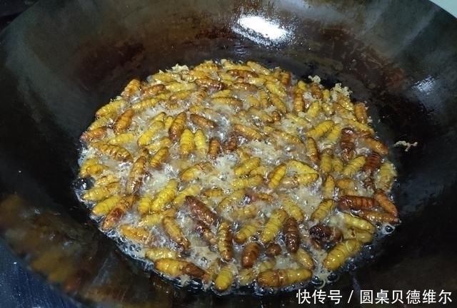 蚕蛹|大爷早市卖它，没人识货，10元一斤我直接包圆，吃后才知道赚大了