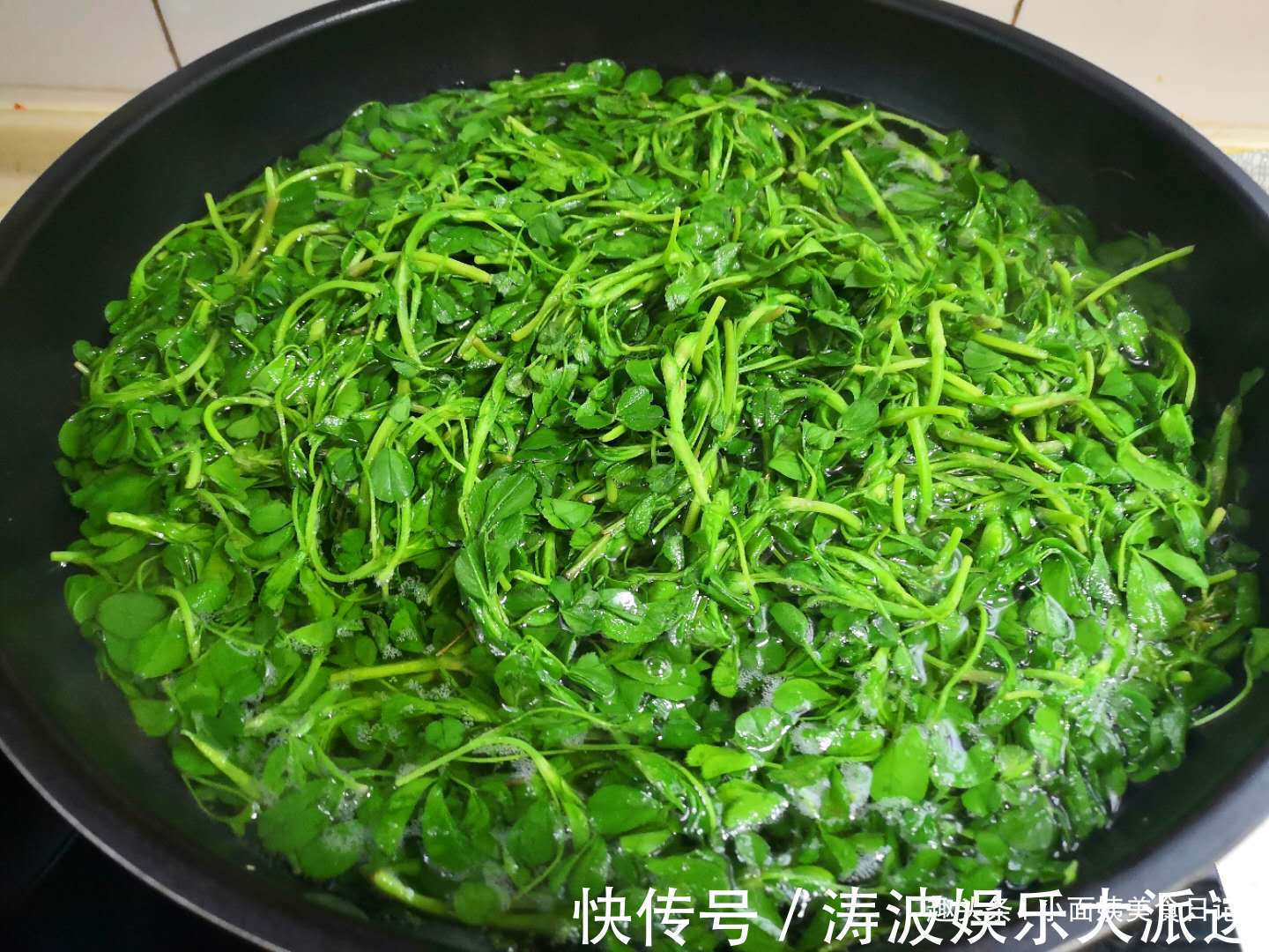 3月这菜是个宝，半个月就老了，包饺子最好吃，清香多汁又营养！