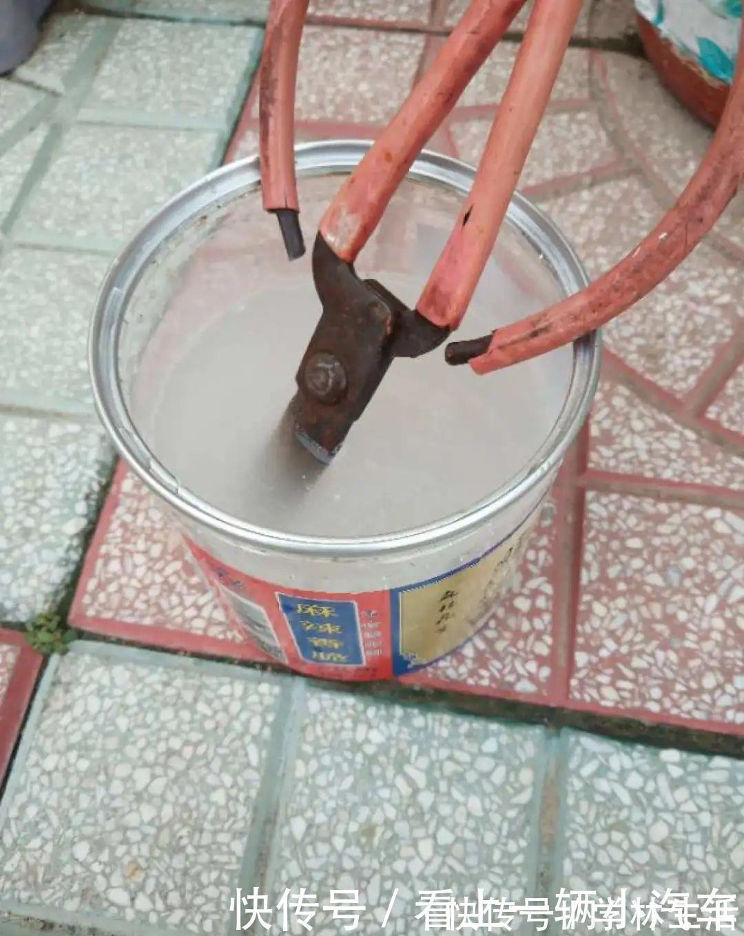 养花技巧：花盆里出现这个，抓紧换盆，不然一浇水就死翘翘