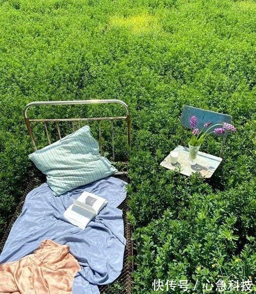 陆游&15首最美宋词情诗余生只愿与君度,情深不负共白头