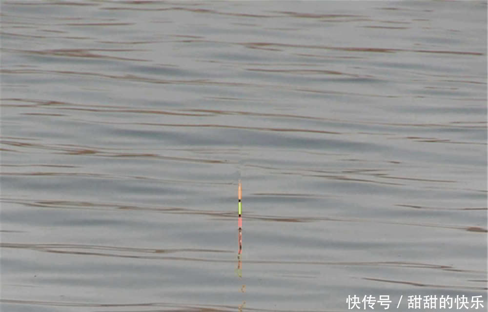 调漂方法大全:图解挂单饵调漂,状态不灵不钝,最适合野钓鲫鱼