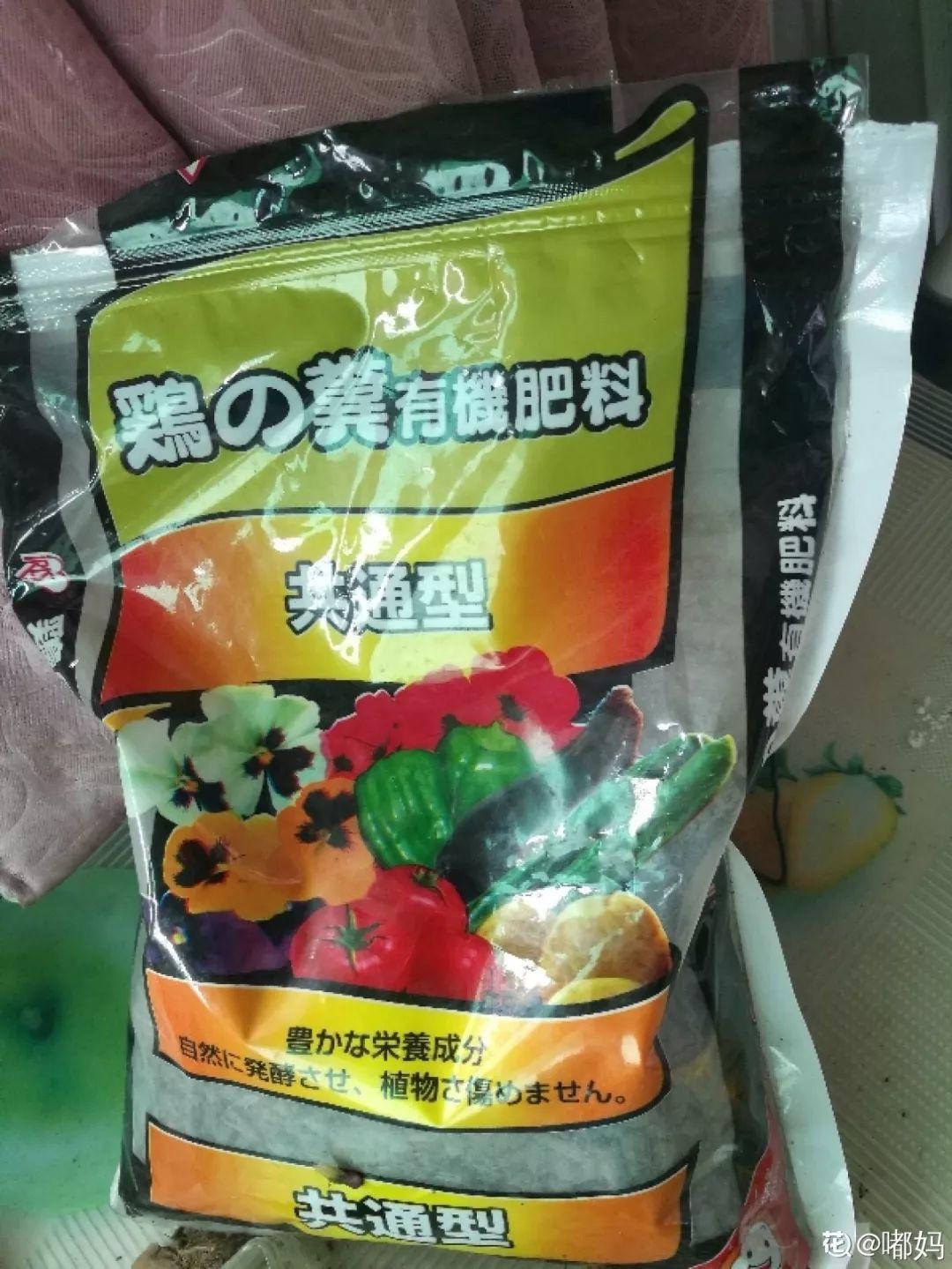 盆土硬成大疙瘩,浇点松土剂,立马软得像发糕!