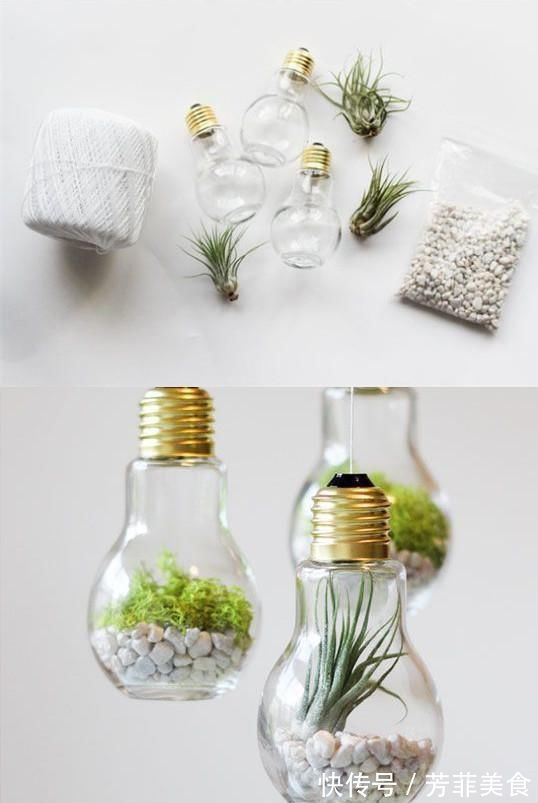 邻居|把灯泡拿去养花,挂在阳台上太好看了!真的太佩服邻居的脑洞