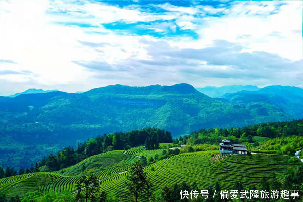 一票到底、一线多游!乘专列游武隆轻松又自在