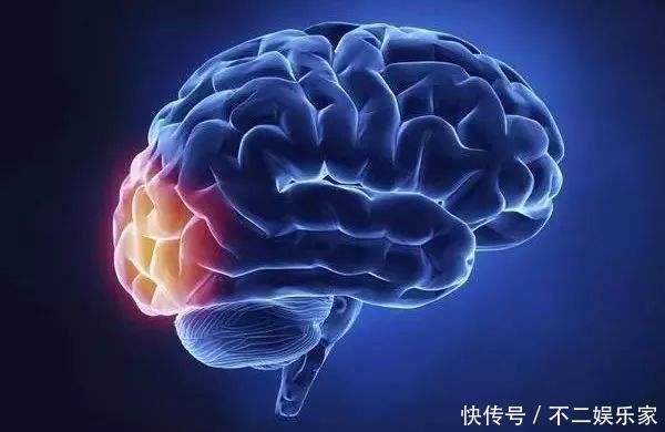 高手|英国老年痴呆测试:海豚里有一个棉花糖,30秒内找到的都是高手!