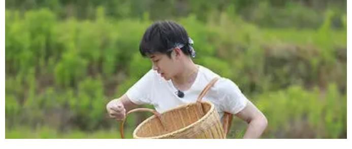 熒幕初吻|妹妹張子楓熒幕初吻被奪，《向往5》黃磊放話了：我要打死他！