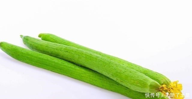 茶匙|同样是丝瓜,“有棱”和“无棱”差别这么大,看完后别再乱买了!