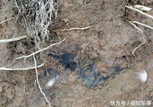 银雀山抢救出9部“奇书”,意外破解2000年悬案,专家:镇国之宝