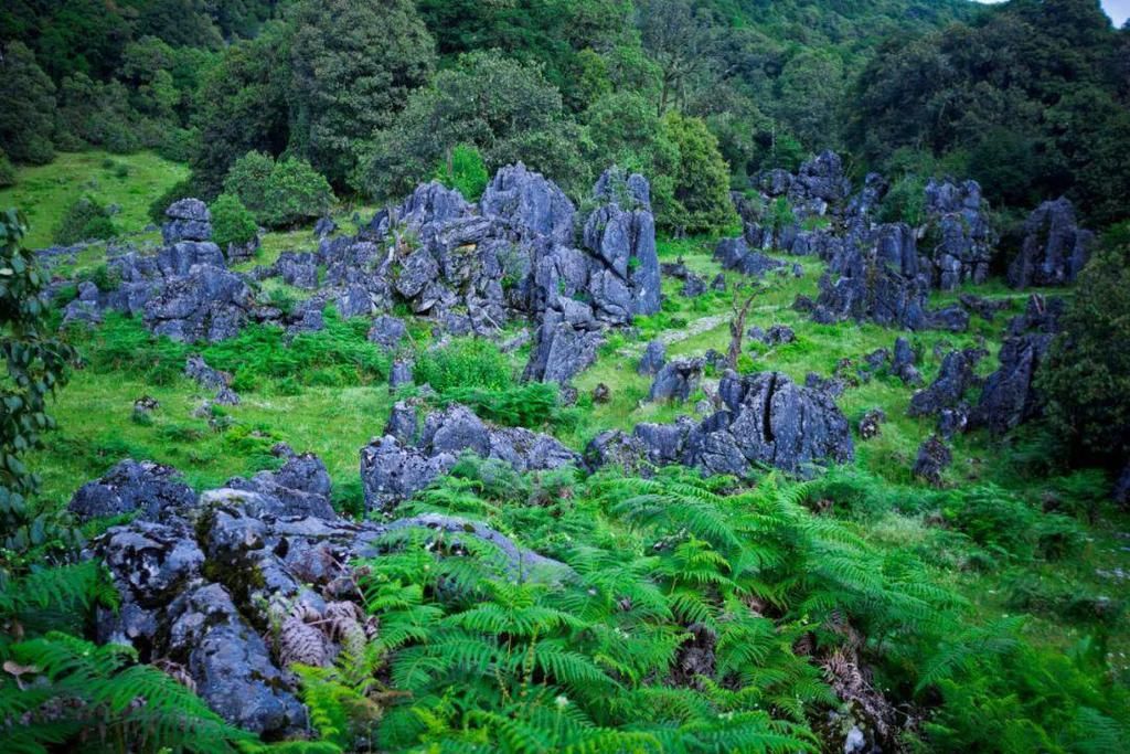 大地|格萨拉生态旅游区：“大地画廊，仙境格萨拉”