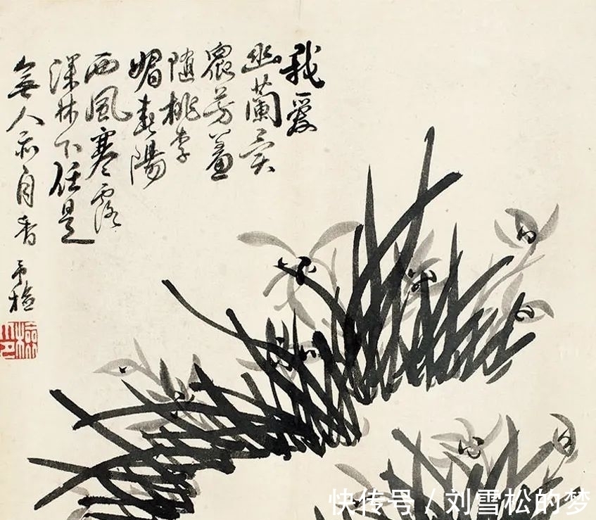 姿态|清代蒋予检笔下的兰花:纵横偃仰,别有姿态