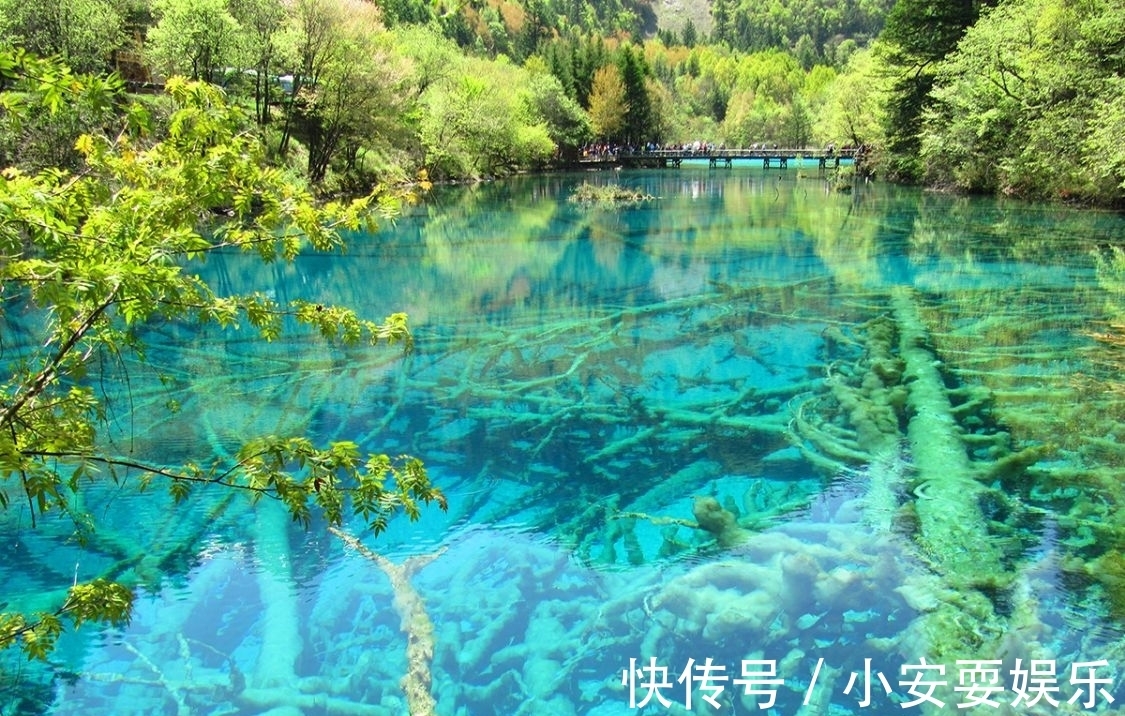 五花海|九寨沟的海，瀑布连环，归来不看水