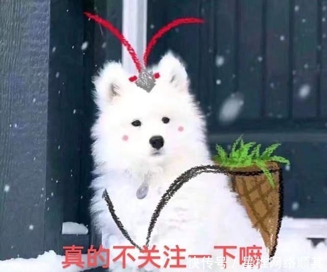 变形记 原来肖战还上过《变形记》,被农村妹妹当精神支柱,这期你看过吗